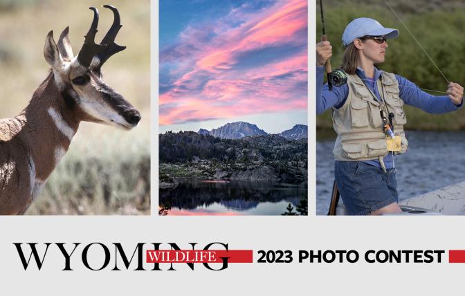 Wyoming Wildlife magazine 2023 photo contest