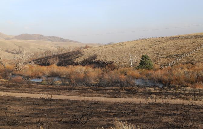 Terry Creek Ranch showing a burned area from the Mullen Fire.