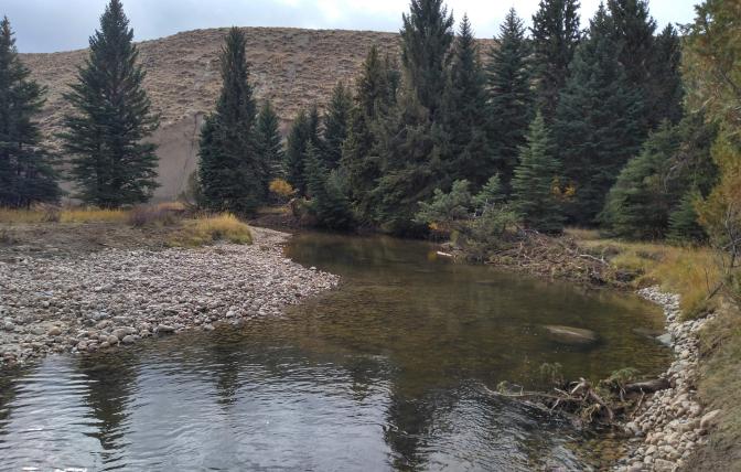 A photo of the Big Sandy River with evergreen trees in the background.