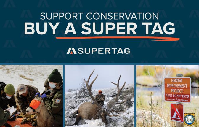 Support conservation — Buy a Super Tag
