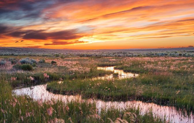 Sunset over riparian area near Eden, WY