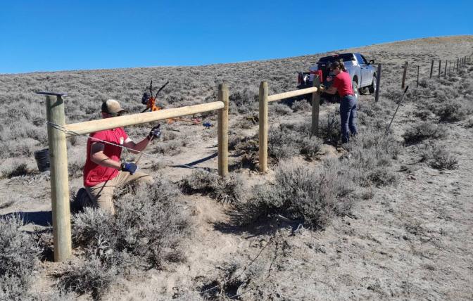 Building fence in Pinedale Region