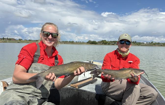 Fisheries Technicians Caroline Varie and Vaughn Reschenberg with Kinnear Lake channel catfish, June 2025