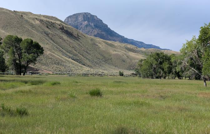 The green fields, trees, and mountains of the JBar 9 Ranch