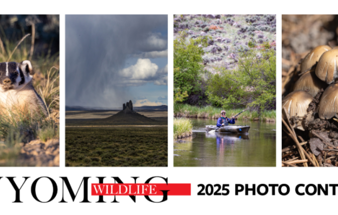 Wyoming Wildlife Photo Contest Logo
