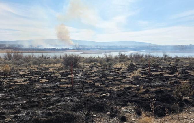 A photo of blackened brush and a smoke plume in the distance behind Kane Cemetery Pond on Yellowtail Wildlife Habitat Management Area. 