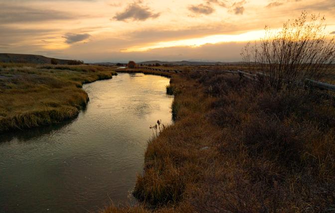 Photo of river running through a WHMA - Rod Public Access Area