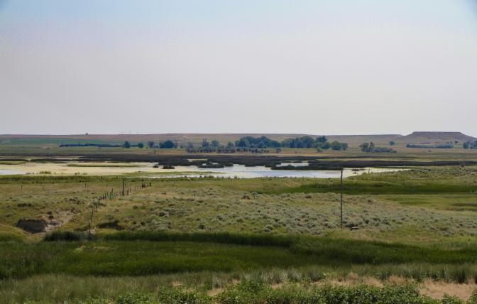Landscape of Table Mountain Wildlife Habitat Management Area