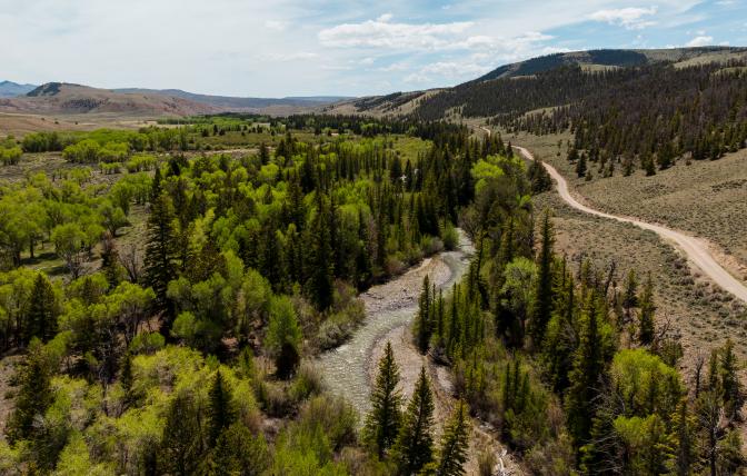 Aerial photo of wildlife habitat management area of Kirk Inberg/Kevin Roy