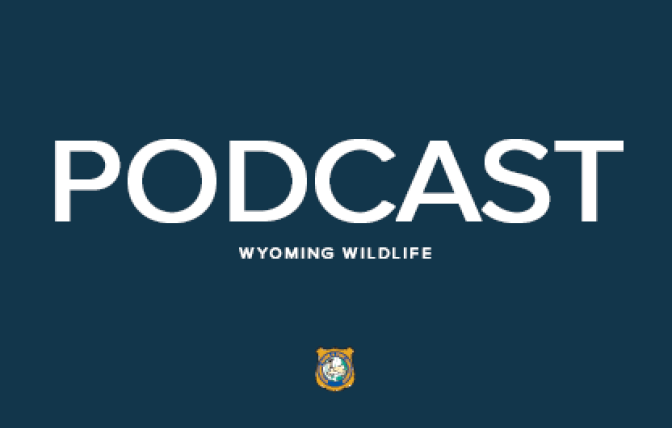 Wyoming Wildlife Podcast Graphic