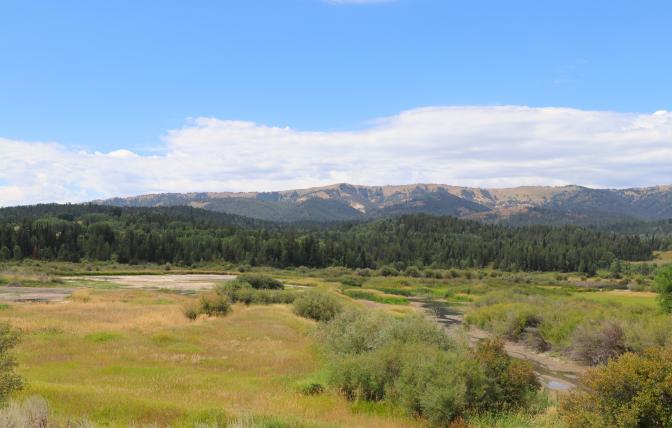 Salt River/Alpine Wetlands area