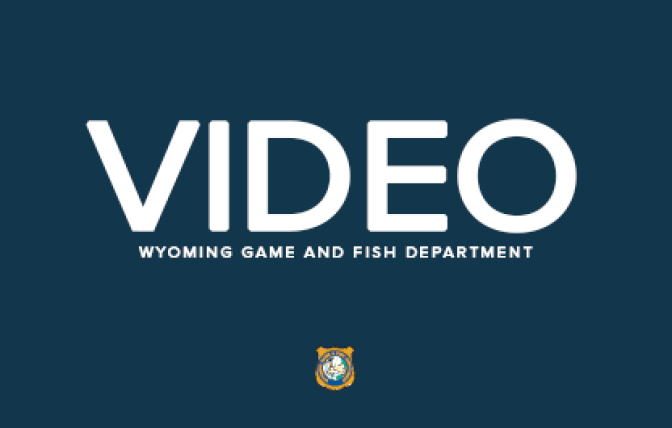 WGFD Video