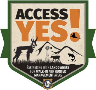 Access Yes Logo